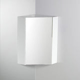 Fresca Coda 14-in x 23.5-in Surface Mount White Mirrored Soft Close Medicine Cabinet