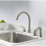Builders 2-Handle Standard Kitchen Faucet with Sprayer in Stainless Steel - Super Arbor