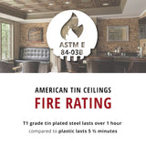 American Tin Ceilings 2-ft x 2-ft Stainless Steel Surface-mount Ceiling Tile (5-Pack, 20-sq ft / Case)