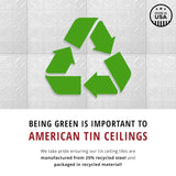 American Tin Ceilings 2-ft x 2-ft Stainless Steel Surface-mount Ceiling Tile (5-Pack, 20-sq ft / Case)