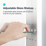 allen + roth Landen 24-in x 30-in Lighted LED Surface/Recessed Mount Silver Mirrored Soft Close Medicine Cabinet with Outlet