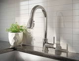 Keeney Polished Chrome 1-Handle Deck-Mount Pull-Down Kitchen Faucet with Deck Plate