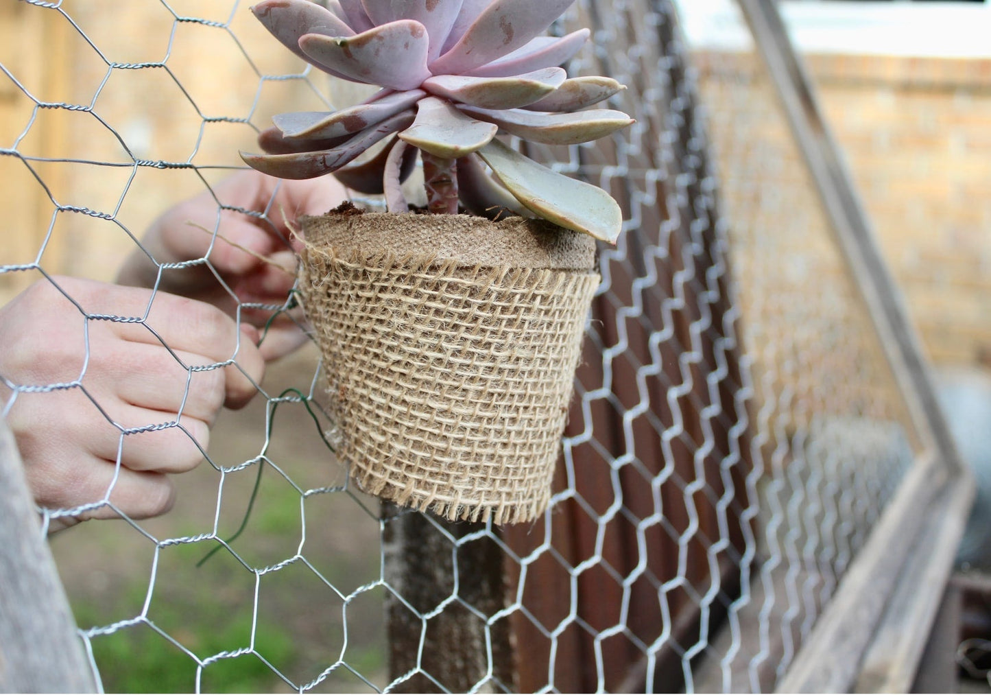 GARDEN CRAFT Gray/Silver Steel Chicken Wire Rolled Fencing with Mesh Size 1-in