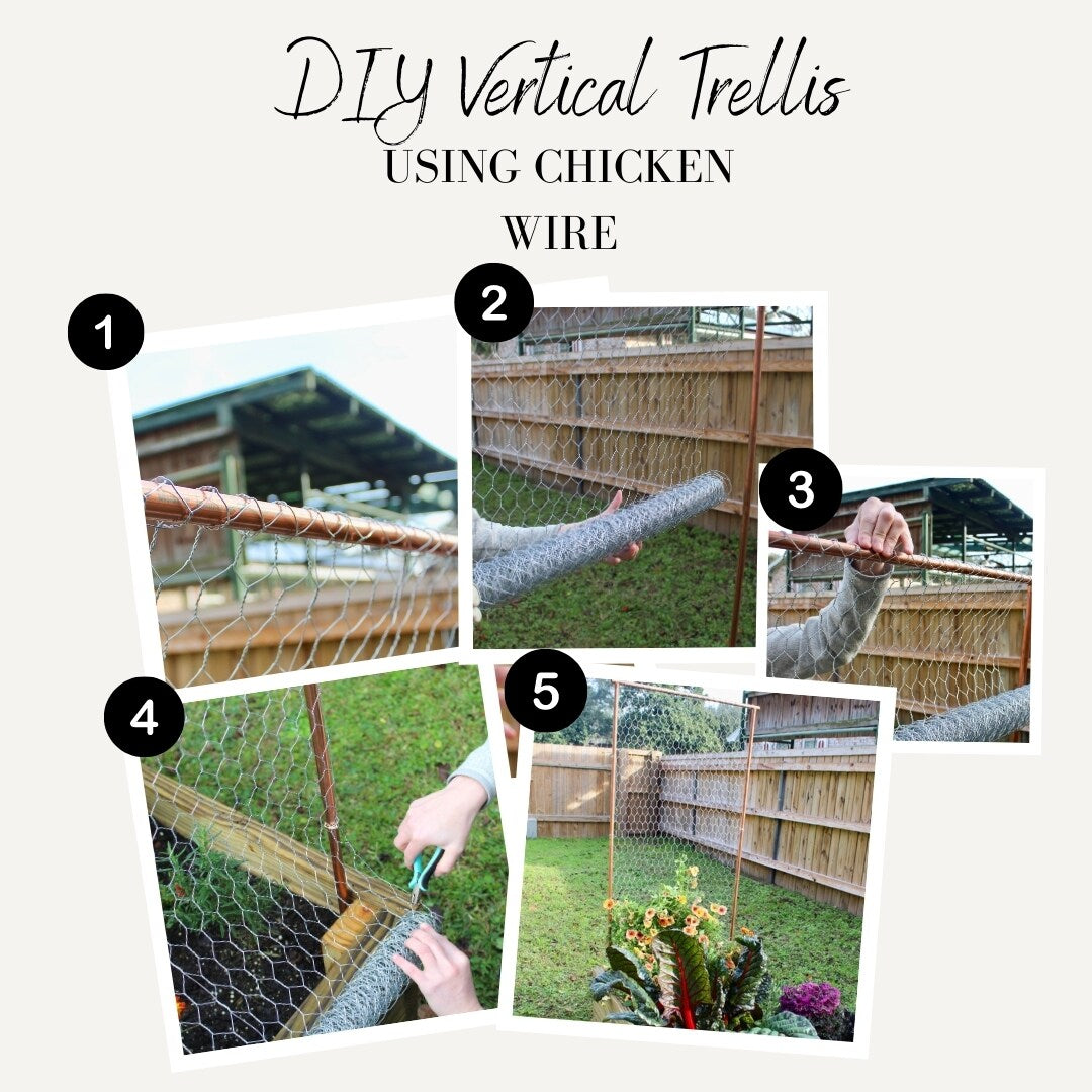 GARDEN CRAFT Gray/Silver Steel Chicken Wire Rolled Fencing with Mesh Size 1-in
