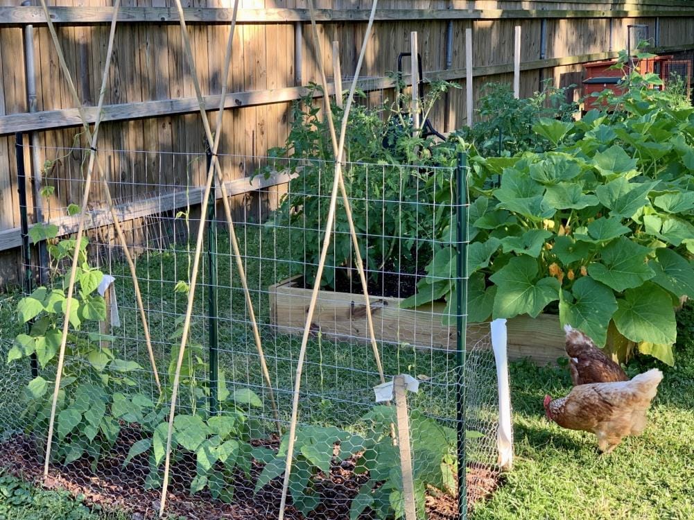 GARDEN CRAFT Powder-coated Steel U-post For Garden Fence