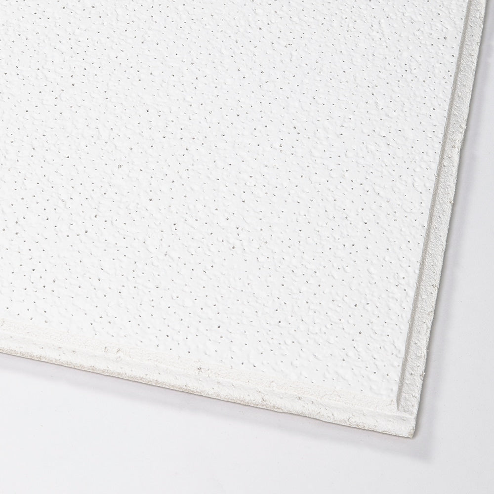 Armstrong Ceilings Brighton 24-in x 24-in Textured Drop Acoustic Ceiling Tiles, 16-Pack (15/16-in Tegular Edge)