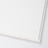 Armstrong Ceilings Brighton 24-in x 24-in Textured Drop Acoustic Ceiling Tiles, 16-Pack (15/16-in Tegular Edge)