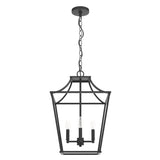 Hunter Laurel Ridge 4-Light Natural Iron Traditional Lantern LED Medium Hanging Pendant Light
