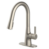 allen + roth Gillen Stainless Utility Faucet with Pulldown Sprayer