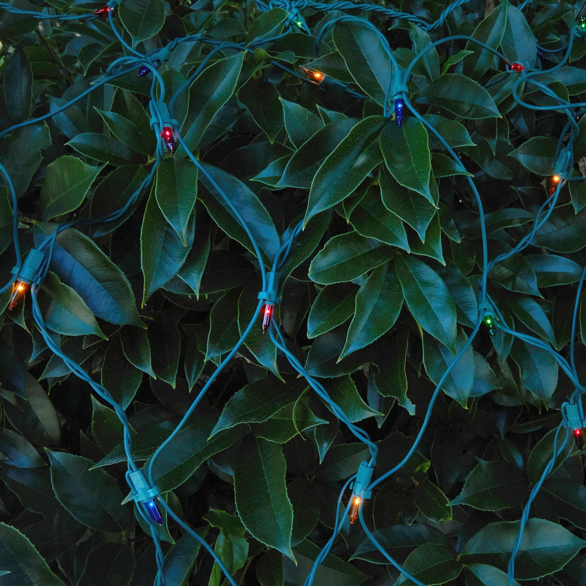 GE String-A-Long 6-ft x 4-ft Constant Multicolor Incandescent Mini Plug-In Christmas Net Lights