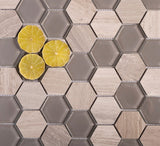 Apollo Tile (Sample) Gray 4-in x 4-in Glossy Glass Honeycomb Floor and Wall Tile