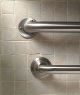 Project Source Exposed Screw 24-in Stainless Steel Wall Mount ADA-Compliant Grab Bar, 500-lb Capacity