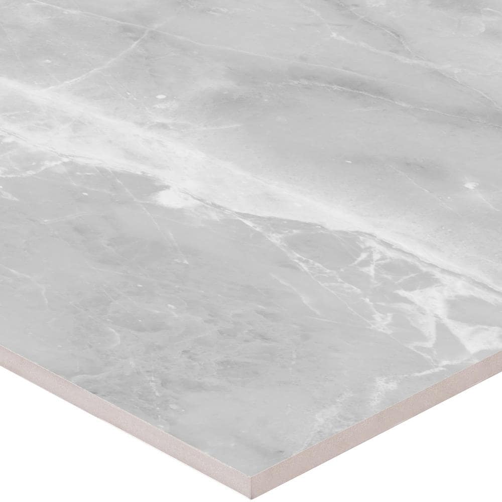 Satori Eden Ice 24-in x 24-in Polished Porcelain Wall Tile (3.87-sq. ft/ Piece)