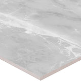 Satori Eden Ice 24-in x 24-in Polished Porcelain Wall Tile (3.87-sq. ft/ Piece)