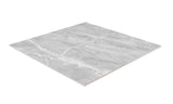 Satori Eden Ice 24-in x 24-in Polished Porcelain Wall Tile (3.87-sq. ft/ Piece)