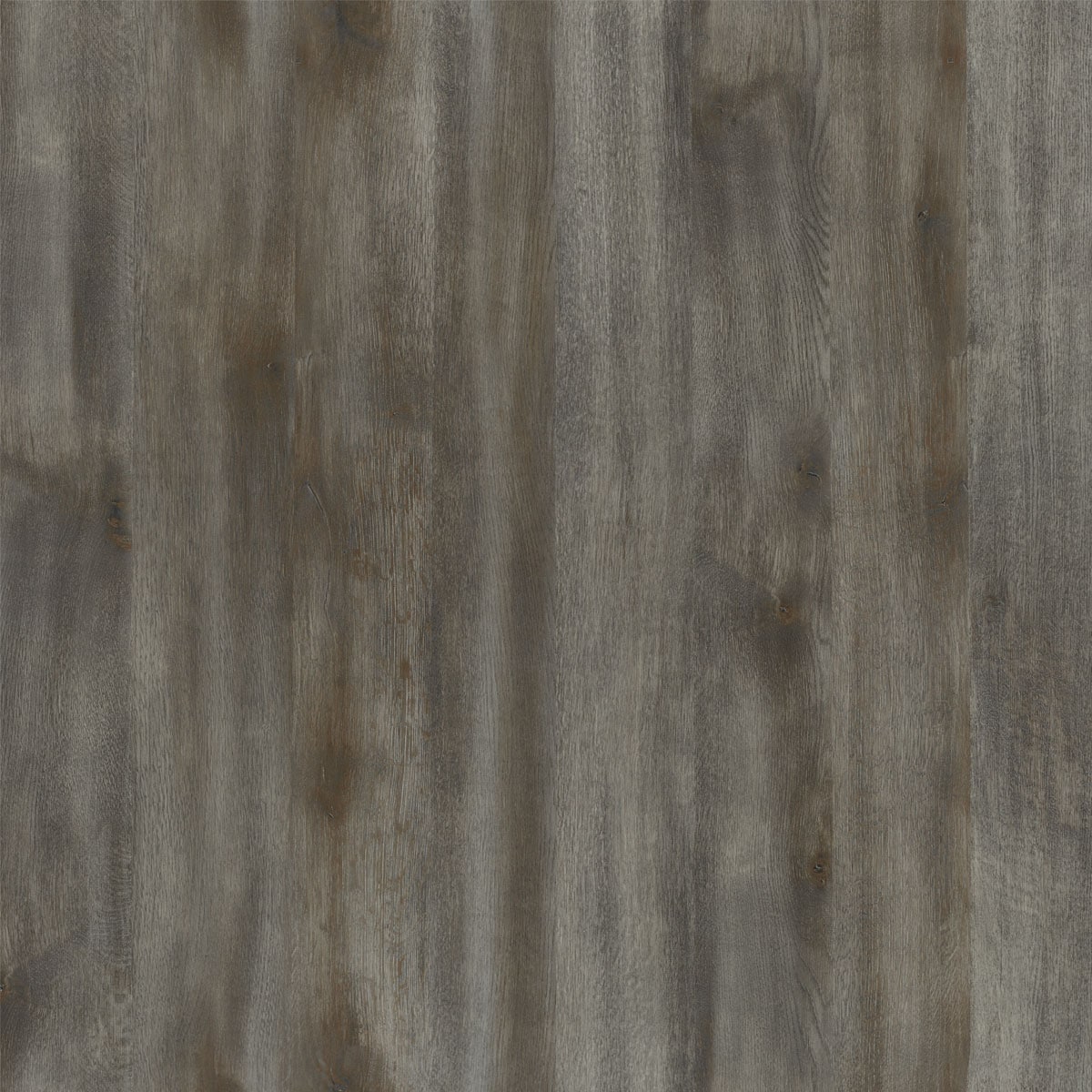 Formica Brand Laminate Woodgrain 60-in W x 144-in L Umbra Oak Natural Grain Laminate Sheet