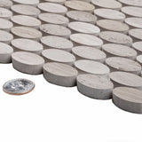 Apollo Tile (Sample) Gray 4-in x 4-in Polished Wood Honeycomb Wood Look Floor and Wall Tile