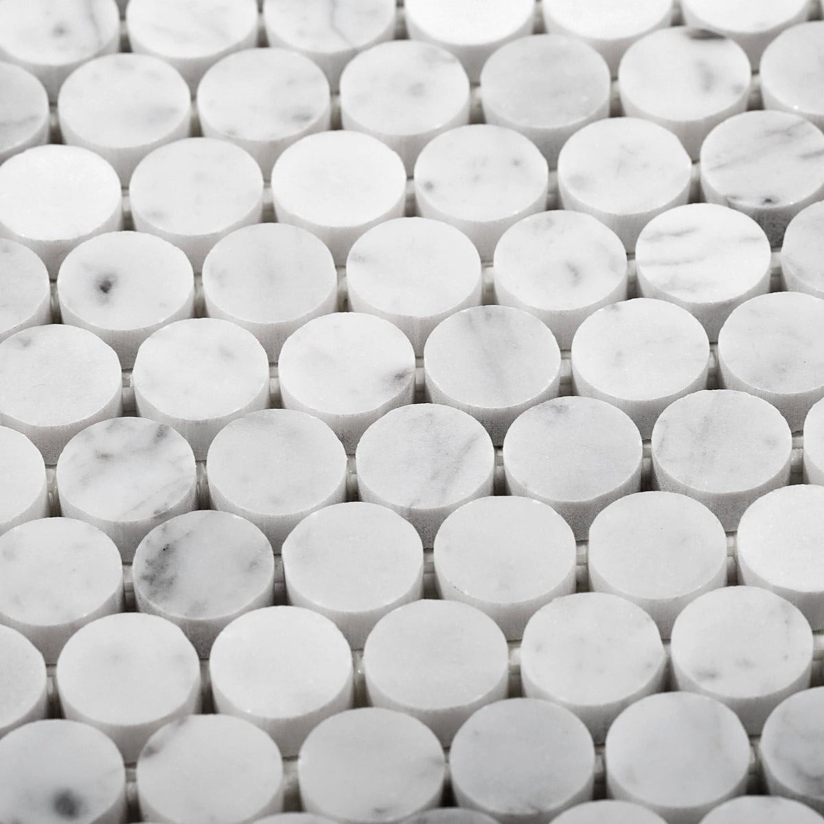 Apollo Tile (Sample) White 4-in x 4-in Honed Marble Penny Round Mosaic Floor and Wall Tile