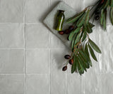 Apollo Tile (Sample) Duchess Gray 4-in x 4-in Glossy Ceramic Subway Wall Tile
