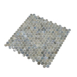 Apollo Tile (Sample) Grey, Blue 4-in x 4-in Glossy Glass Penny Round Stone Look Floor and Wall Tile