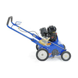 BLUEBIRD 22 in. 5.5 HP Gas Powered Power Rake-Dethatcher with Honda GX160 Engine