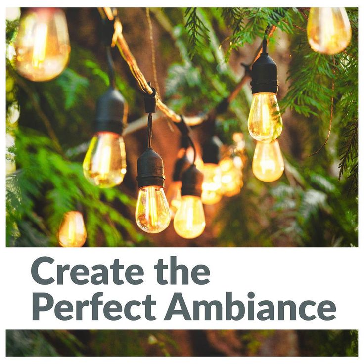 24 ft. Solar Outdoor Party LED String Lights with 12 LED S14 Bulbs