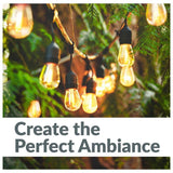 24 ft. Solar Outdoor Party LED String Lights with 12 LED S14 Bulbs
