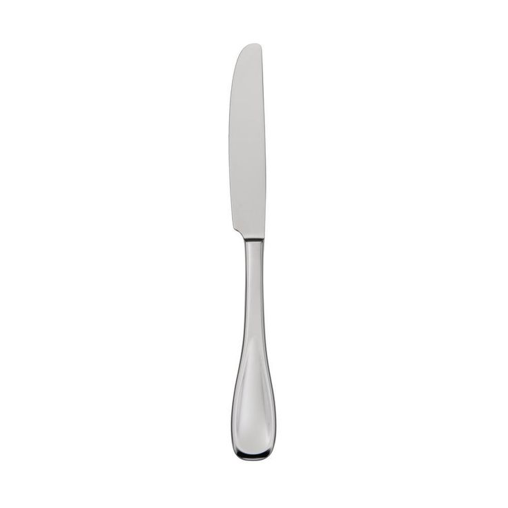 Voss II 18/0 Stainless Steel Dinner Knives (Set of 12)