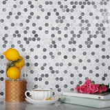 Apollo Tile (Sample) Gray, White 4-in x 4-in Polished Marble Penny Round Patterned Floor and Wall Tile