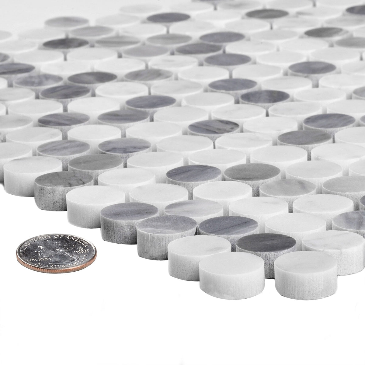 Apollo Tile (Sample) Gray, White 4-in x 4-in Polished Marble Penny Round Patterned Floor and Wall Tile