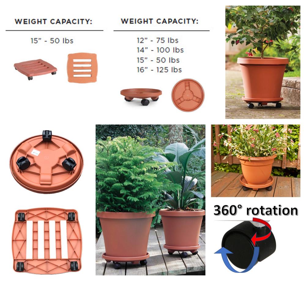 Bloem 2.5 in. H x 15 in. W Resin Plant Caddy Terracotta Clay