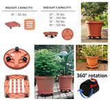 Bloem 2.5 in. H x 15 in. W Resin Plant Caddy Terracotta Clay