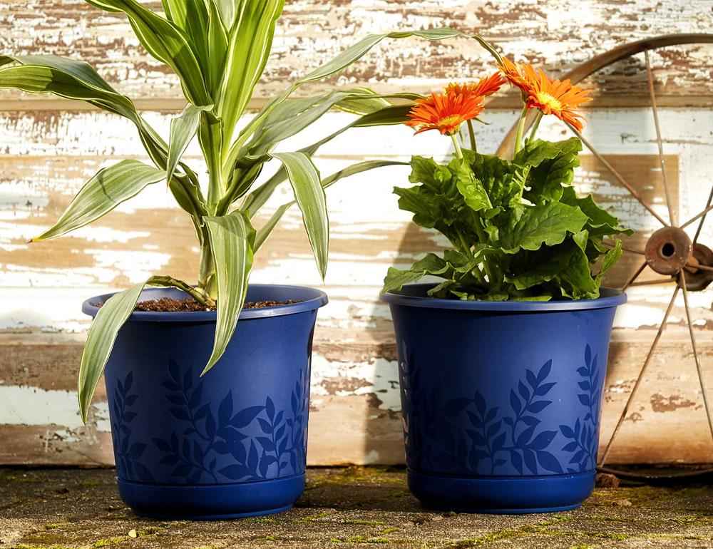Bloem Llc FP1600 16" Black Freesia Planter