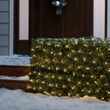 GE ConstantON 6-ft x 4-ft Constant White Incandescent Mini Plug-In Christmas Net Lights