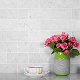 Apollo Tile (Sample) White 3-in x 6-in Honed Marble Floor and Wall Tile
