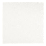 Armstrong Ceilings Easy Elegance White PVC Drop Ceiling Tile Sample