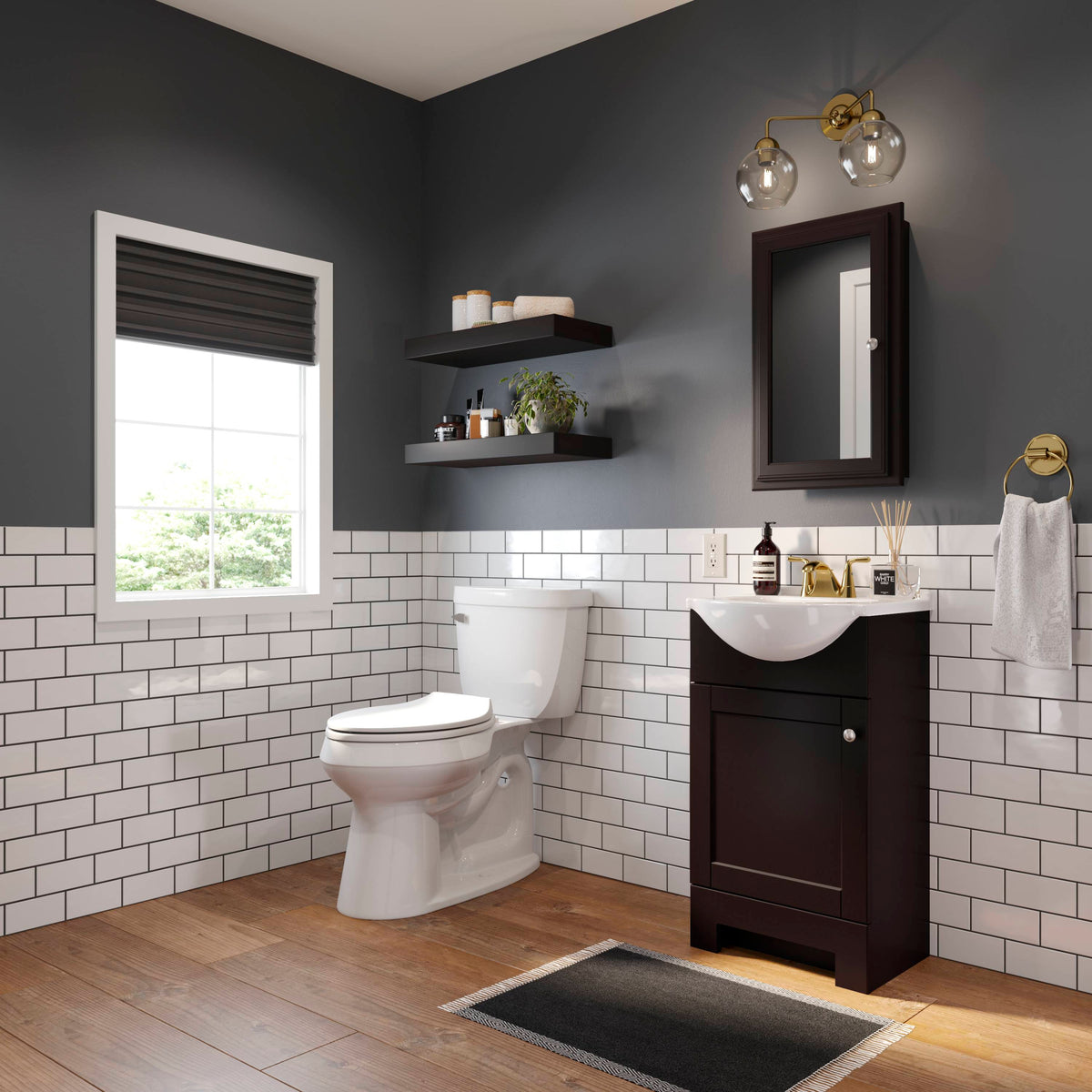 Style Selections 15.75-in x 25.75-in Surface/Recessed Mount Java Mirrored Medicine Cabinet