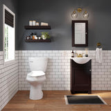 Style Selections 15.75-in x 25.75-in Surface/Recessed Mount Java Mirrored Medicine Cabinet