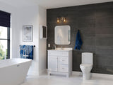 Project Source 15.25-in x 19.25-in Surface Mount White Mirrored Medicine Cabinet