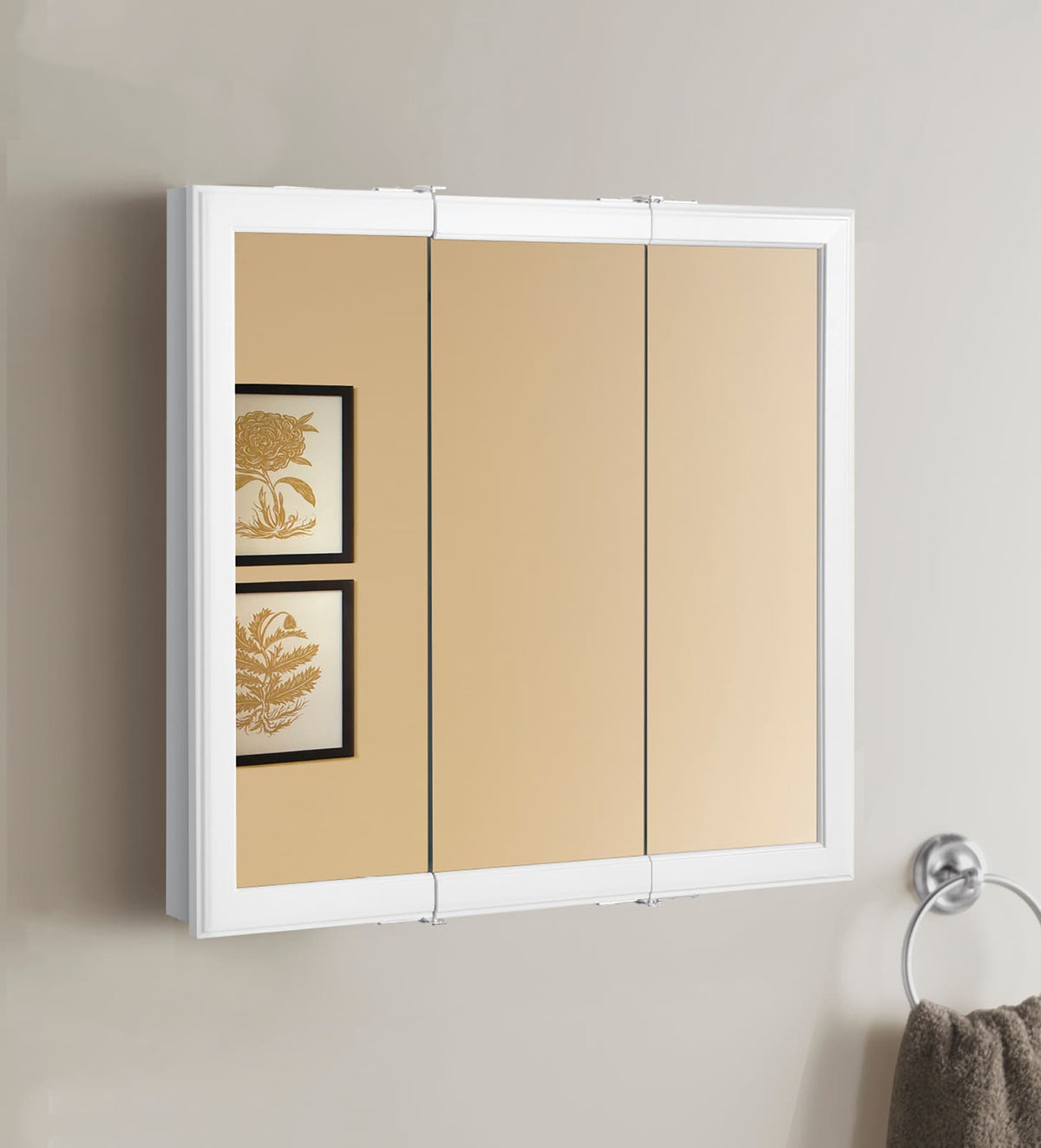 Project Source 24.25-in x 24-in Surface Mount White Mirrored Medicine Cabinet