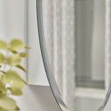 allen + roth 21-in x 31-in Surface Mount Frameless Mirrored Oval Medicine Cabinet
