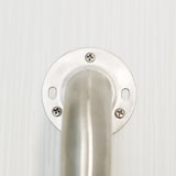 Project Source 42-in Stainless Steel Wall Mount ADA-Compliant Grab Bar
