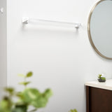 Project Source 24-in Clear Wall-Mount Replacement Towel Bar (Bar Only)