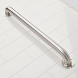 Project Source Exposed Screw 24-in Stainless Steel Wall Mount ADA-Compliant Grab Bar, 500-lb Capacity