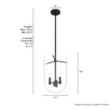 Hunter Sacha 3-Light Natural Iron Modern/Contemporary Clear Glass Urn LED Medium Hanging Pendant Light