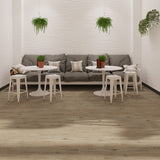 Lucida USA (Sample) PresCore Straw Brown Wood Look 12-mil Water Resistant Glue Down Vinyl Tile