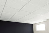 Armstrong Ceilings 48-in x 24-in Scored Contractor White Fissured 15/16-in Drop Acoustic Panel Ceiling Tiles, 10-Pack