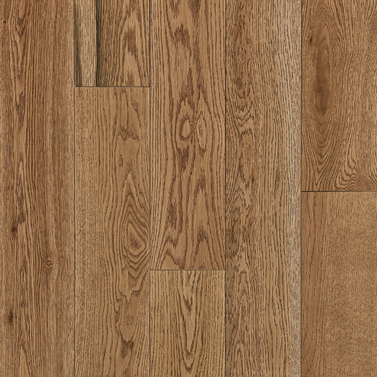 Bruce (Sample) America's Best Choice Haven Point White Oak Solid Smooth/Traditional Hardwood Flooring