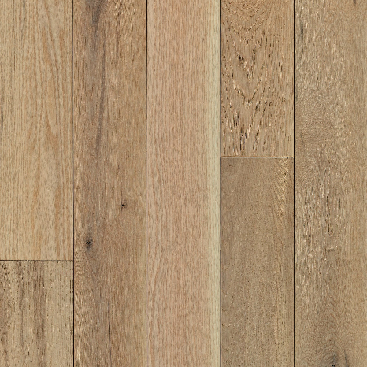 Bruce (Sample) America's Best Choice Dune Trail White Oak Solid Wirebrushed Hardwood Flooring