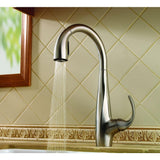 Avanti Single-Handle Pull-Down Sprayer Kitchen Faucet in Stainless Steel - Super Arbor